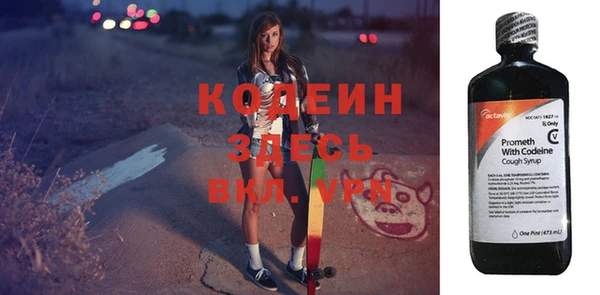 соль ск Дмитриев