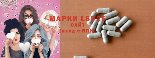 соль ск Дмитриев