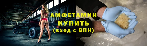 соль ск Дмитриев