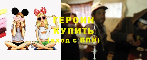 соль ск Дмитриев