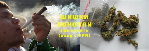 соль ск Дмитриев