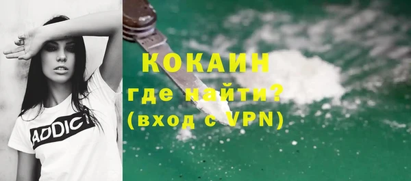 соль ск Дмитриев