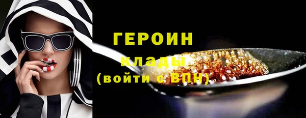 соль ск Дмитриев