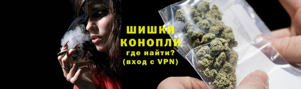соль ск Дмитриев