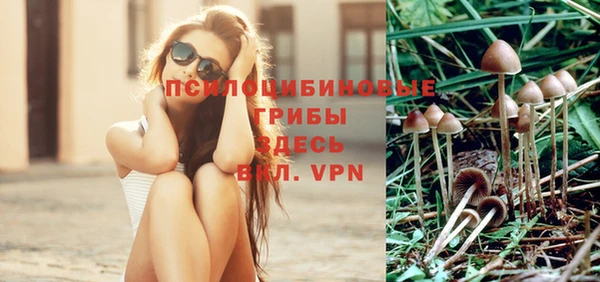 соль ск Дмитриев