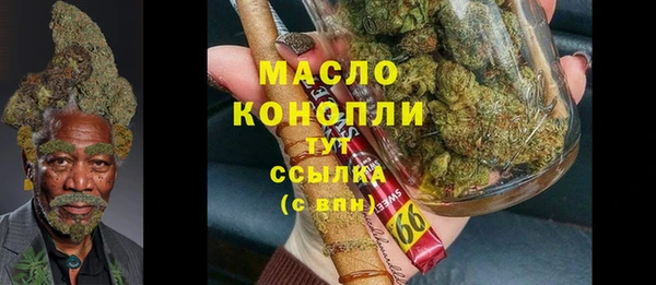 соль ск Дмитриев
