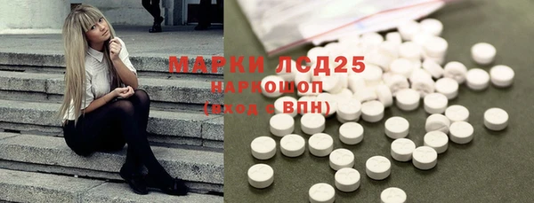 соль ск Дмитриев