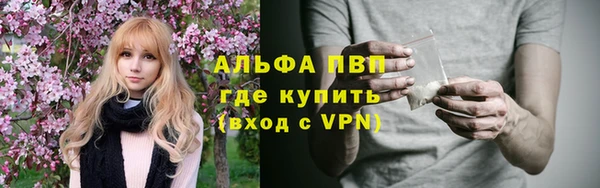 соль ск Дмитриев